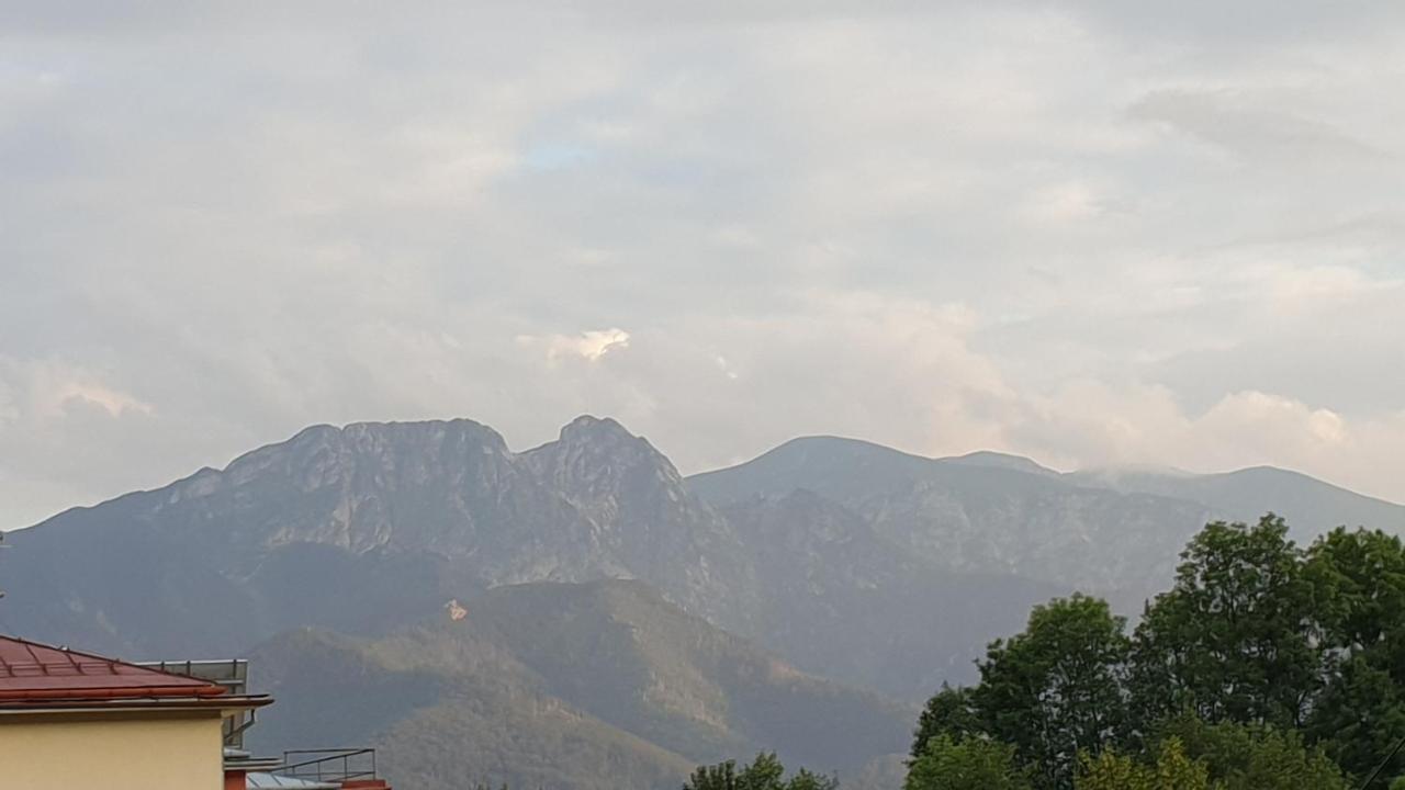 Villa Fortuna - Regionalne Apartamenty & Spa - Sauna, Grill, Jacuzzi Z Widokiem Na Tatry Zakopane Exterior foto